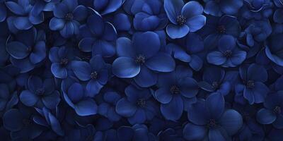 A large group of blue flowers on a dark background photo