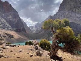 Scenic view Rugged Fan Mountain Landscape showcasing striking Turquoise Lake nestled between Towering Peaks. Twisted Juniper Tree stands under a dramatic cloudy sky, adding picturesque natural beauty photo