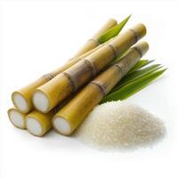 group of sugarcane stalks and a pile of sugar on a white background. photo