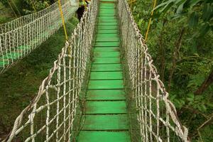 rope bridge on high forest tree , small trail path with green color photo