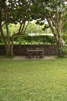 vertical or portrait image of two chairs on the garden, with trees on the background photo