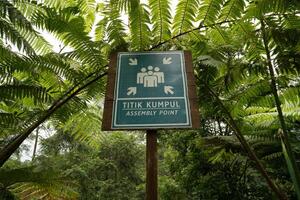 sign of assembly point in a lush forest, surrounded by vibrant greenery, for outdoor exploration and community in nature photo