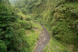 dry river in the jungle used to flow the cold lava path, near the volcano, bird eye view photo