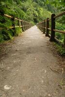 low POV of a trail path on old bridge on the middle of forest photo