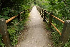 perspective of old bridge in deep forest, no one there, mysterious and creepy photo