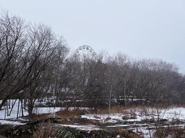 Ferris wheel partially visible through bare winter trees covered in snow. The serene landscape showcases the contrast between the dark branches and white snow on the ground photo