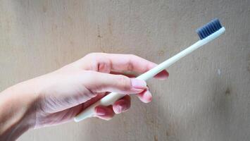 A hand holding a toothbrush photo