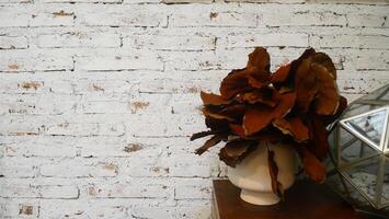 A white plastered brick wall with a rough texture gives a stylish look decorated with plant vase at the corner photo