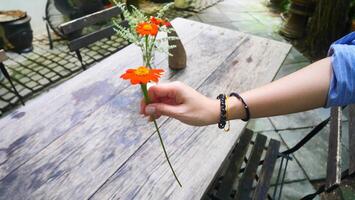 A hand is holding a flower with a cafe atmosphere in the background photo