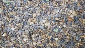 The ground is paved with dark blue and black pebbles photo