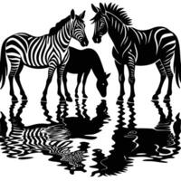 Three Majestic Horses and a Lone Zebra Reflect in Tranquil Waters vector
