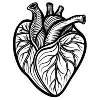 Continuous One Line Art Heart Sketches in a Variety of Shapes and Sizes vector