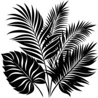 Black Silhouette Tropical Palm Leaves Isolated on Transparent Background vector
