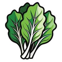 Cartoon Style Fresh Chard Leaves Isolated on White Background vector