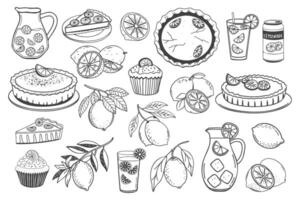 Set of hand drawn illustrations of lemonade and lemon desserts. Lemons, lemonade, lemon pie, cake, cupcake. Hand drawn sketch illustration. vector