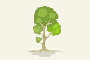 High tree with green leaves and shadow vector
