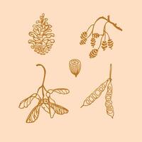Hand drawn autumn botanical elements, icon set, pine, branches. Doodle style. Logo, card, print design. vector
