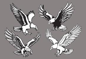 eagle collection in black and white format very easy to edit vector