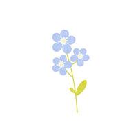 Forget-me-not flowers branch isolated on white background. Beautiful colorful wildflower. Hand drawn illustration in flat cartoon style vector