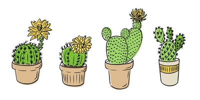 Hand drawn set of blooming potted cactuses in different shapes and sizes. Concept of desert plants, home decoration, and botanical diversity in colorful plant illustration vector