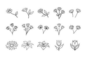 Gardenia Bloom Sublimation Design vector