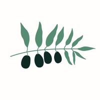 Olive branch in flat minimalistic style on isolated background. illustration with olivaceous tree with fruits for sign, logo, template, label, template, card. Food, harvest, oil vector