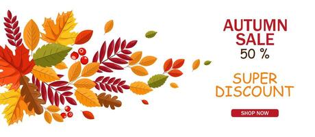 Hello autumn banner, fall leaves flat, colorful leaves isolated set, autumn elements vector