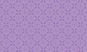 Vintage pattern art design . Geometric line pattern vector