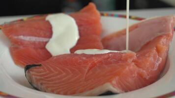 Preparing Salmon Fillet with Cream and Seasonings Macro View video