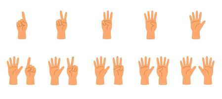 Human hands showing numbers from one to five using fingers in different counting variations vector