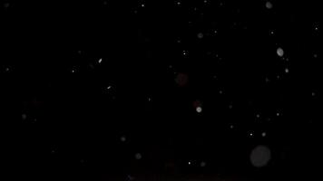 Floating Particle Overlay with Gentle Motion and Atmospheric Depth in 4K video