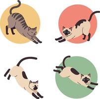 Four stretching cats in minimal flat design style with colorful circle backgrounds illustration vector