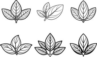 Leaf icons set vector