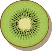 Fresh sliced kiwi fruit detailed flat design with seeds and natural texture illustration vector