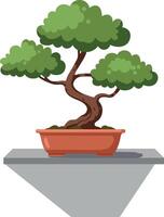 Bonsai tree with twisted trunk and lush green foliage in terracotta pot flat design illustration vector