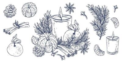 Christmas decor with tangerines, candle, sweets and pine branches. Graphic illustration hand drawn in black ink. A set of separate isolated elements of objects EPS . vector