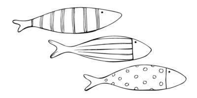 Large elongated fish of simple shape with rustic patterns. Graphic line art hand drawn on the theme of sea and fishing in black and white ink. Set of elements isolated from the background EPS vector
