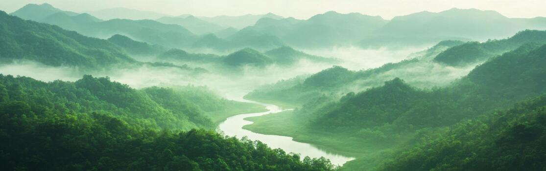 A river runs through a green forest photo