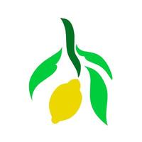 illustration flat design lemon fruit with leaves vector