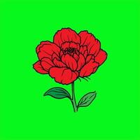 a red flower with stalks and leaves on a green background vector