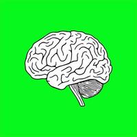 a brain on a green background with a white outline vector