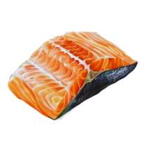 Delicious Salmon Fillet Watercolor Style Food Illustration png