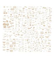 Collection of decorative ornaments and design elements vector