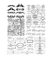 Decorative design elements and ornaments collection vector