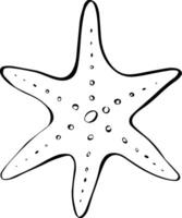 Starfish graphic line ink illustration. isolated on a white background. Icon for package, kitchen design, fabric and textile. vector