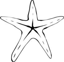 Starfish Silhouette Image isolated on White Background. graphic line ink suitable for website and application design needs. website and application design related to starfish. vector