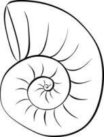 Nautilus shell illustration. graphic line ink icon. isolated on transparent background for package, kitchen design, fabric and textile. vector