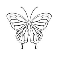 Line art butterfly, illustration. Hand drawn contour sketch on isolated background. Linear drawing in black and white vector