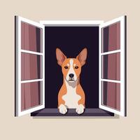 Basenji dog with upright ears looking through open window in flat minimal style illustration vector