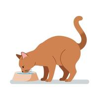 Brown cat drinking water from a bowl in a simple flat design style illustration vector